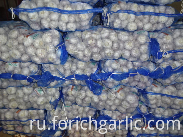 High Quality Fresh Normal Garlic